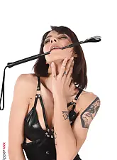 Whip It Hard with Sasha Meow on HQ Stripper .com